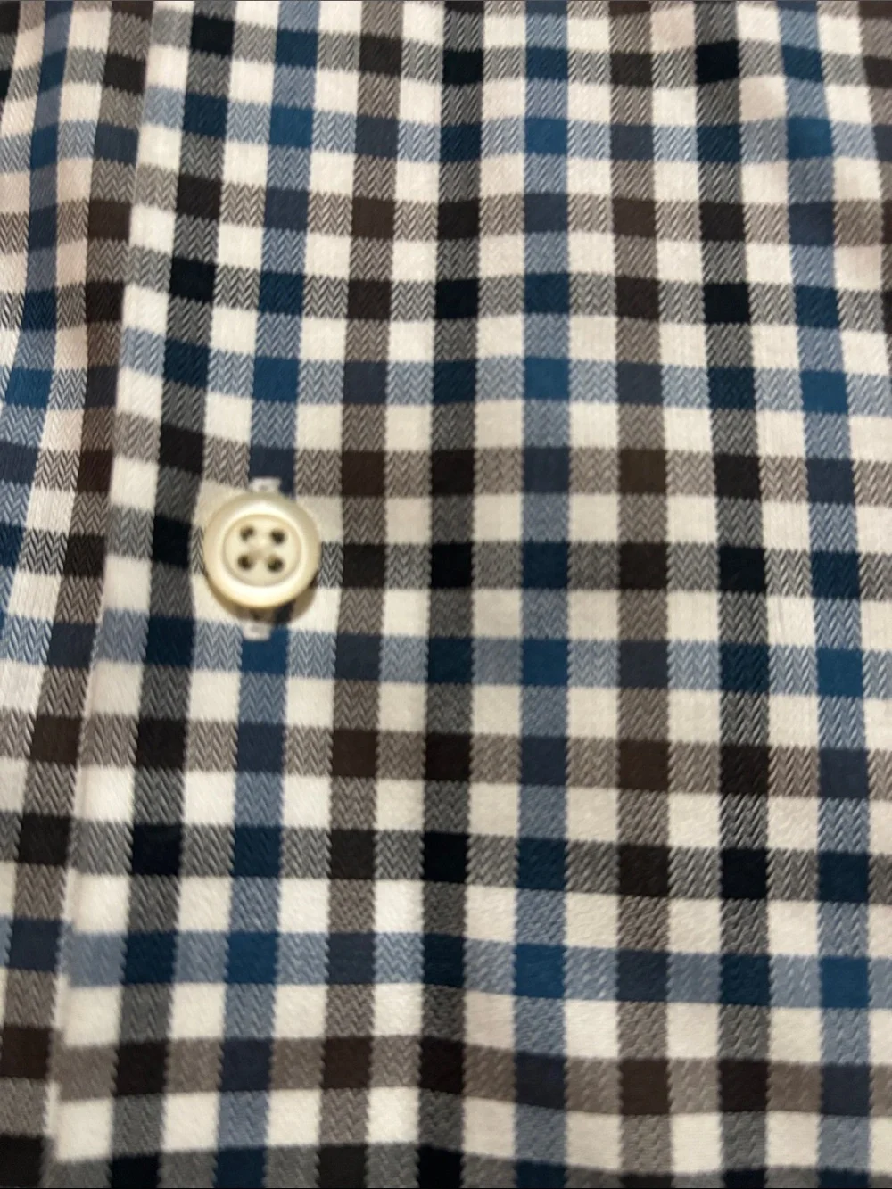 Banana Republic Blue and White Gingham Button-Down Shirt